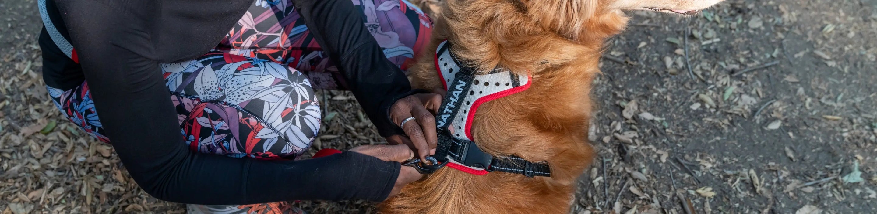 Runner Attaching Nathan Sports Dog Harness
