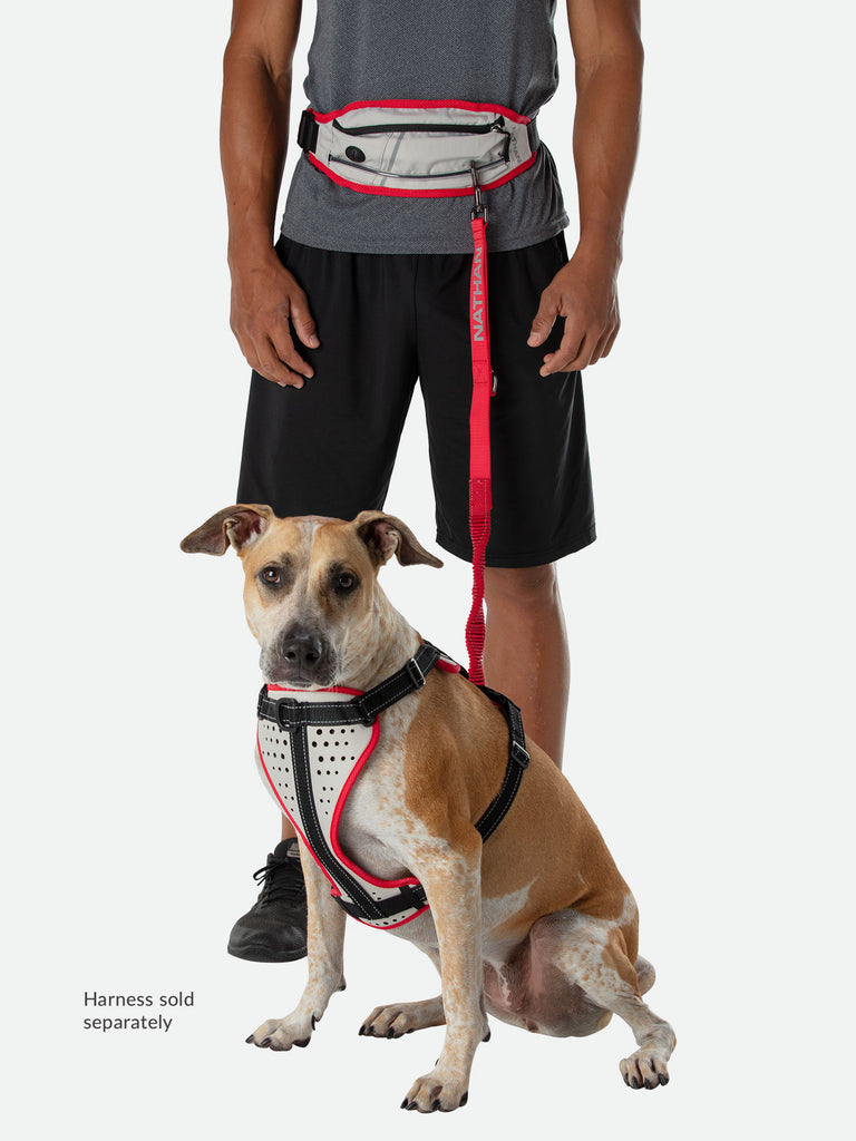 Nathan K9 Series Runner's Waistpack with Leash - Model Wearing Waistpack with Leash Attached to Dog